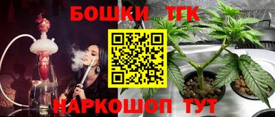 Альфа ПВП Новозыбков