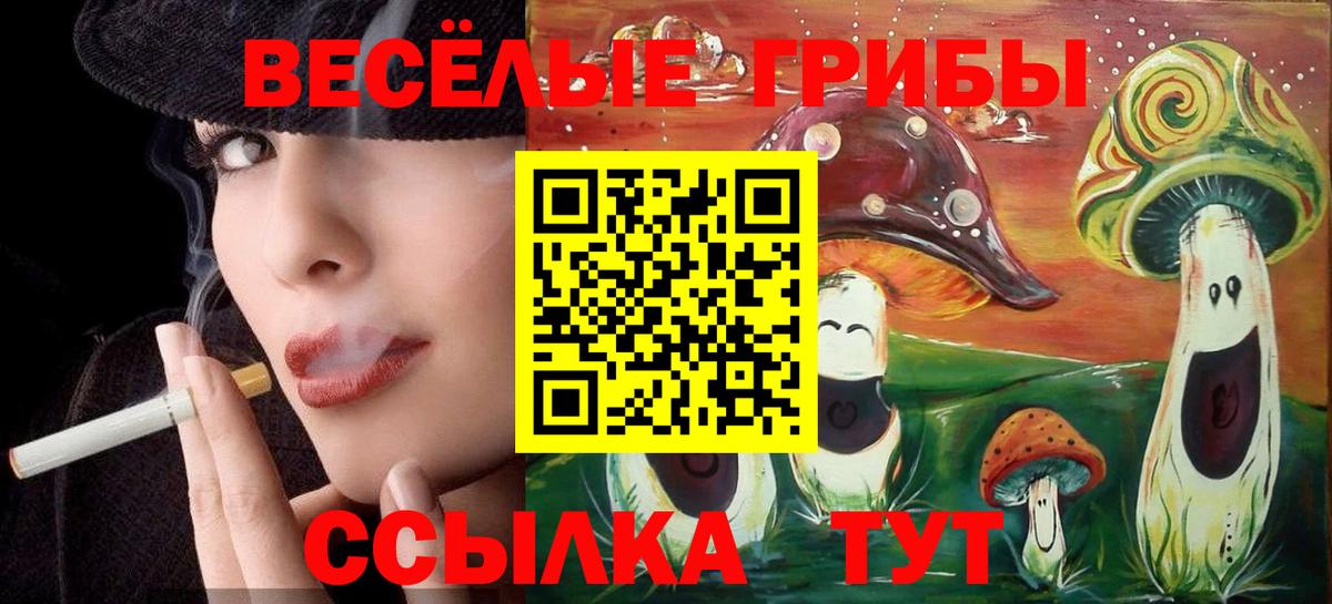 Саянск  Галлюциногенные грибы ЛСД  Вход с VPN 