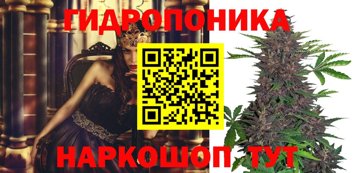 МАРИХУАНА сатива Саянск
